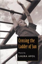 cover of Crossing the Ladder of Sun